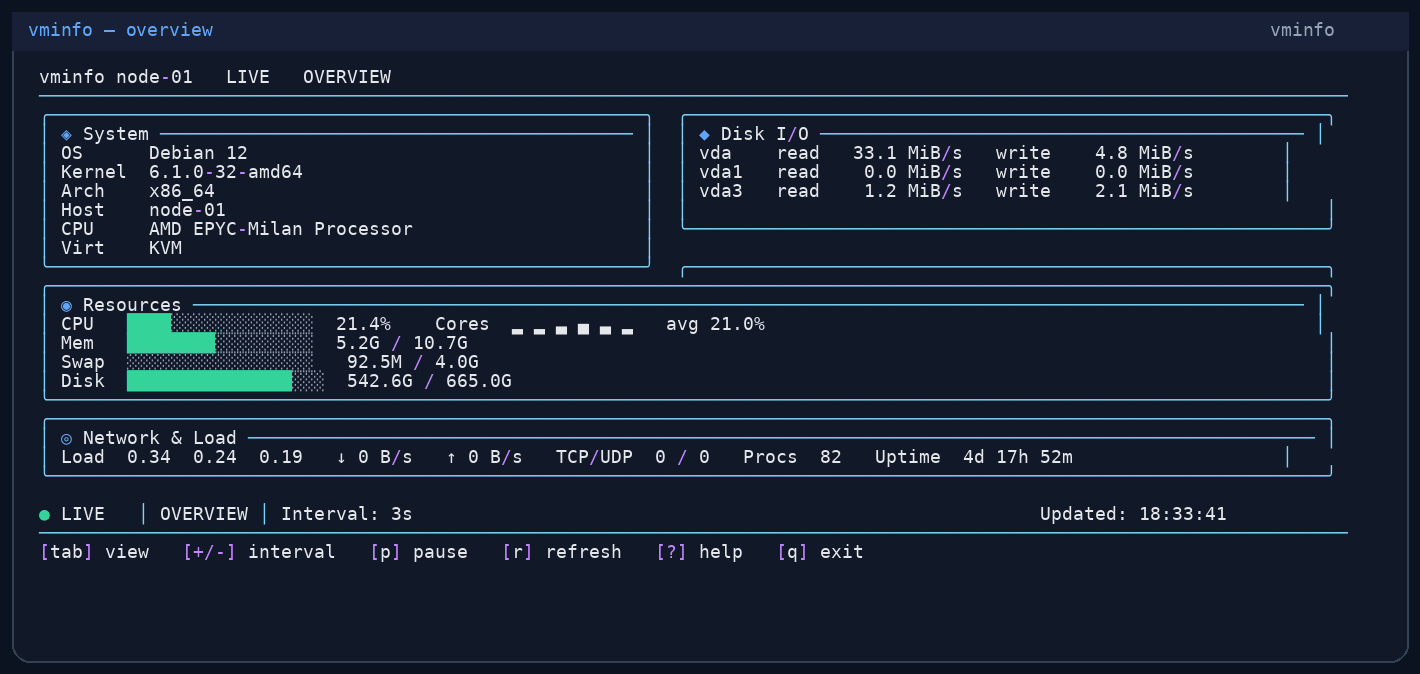 vminfo demo GIF