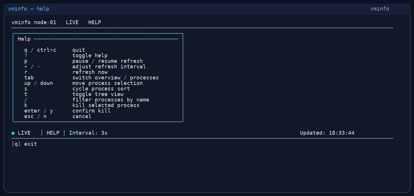 vminfo help overlay