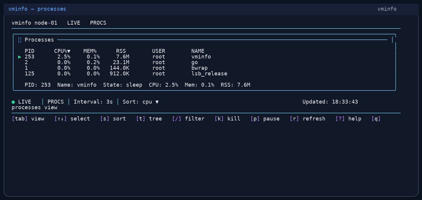vminfo process view